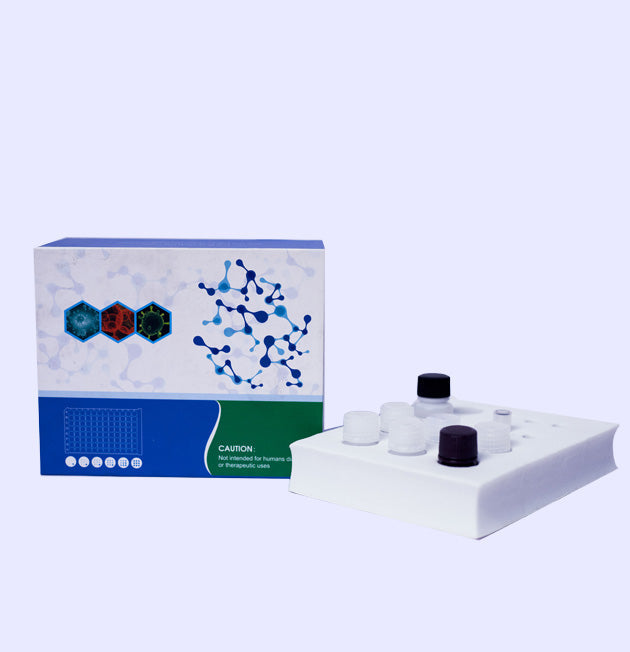 Guinea pig nerve growth Factor (NGF) ELISA kit Guinea pig nerve growth Factor (NGF) ELISA kit